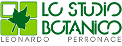 Lo-Studio-Botanico Lo-Studio-Botanico