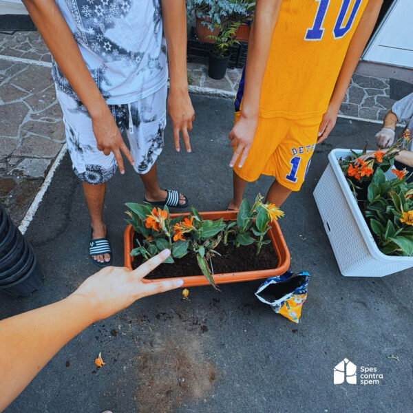 Germogli-di-speranza-2 Germogli-di-speranza-2