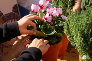 festa-spes-contra-spem_via-monelli-novembre2021-5