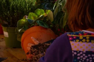 festa-spes-contra-spem_via-monelli-novembre2021-6 festa-spes-contra-spem_via-monelli-novembre2021-6