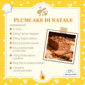 Ricetta Plumcake di Natale Spes Contr Spem